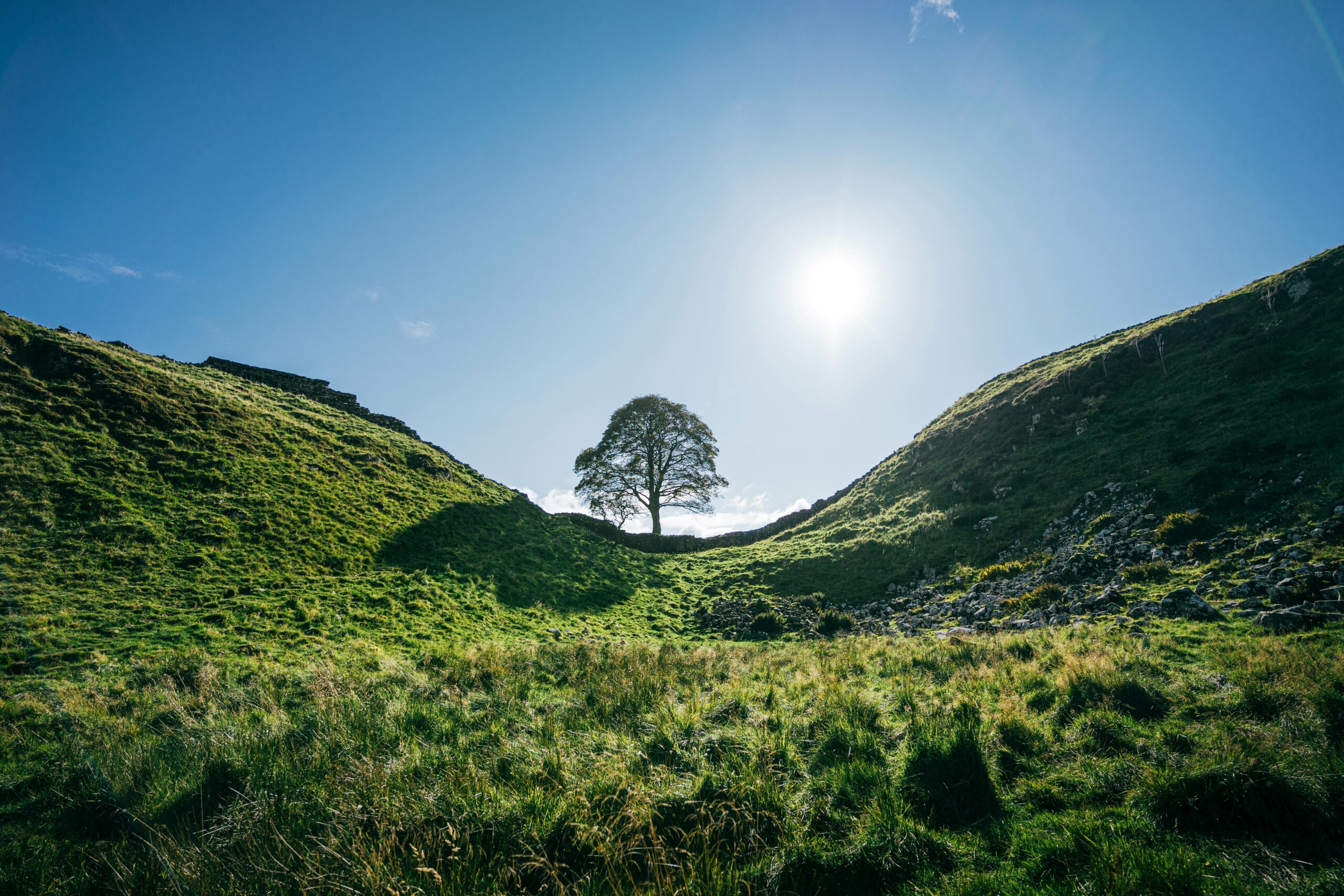 National Parks and Natural Wonders