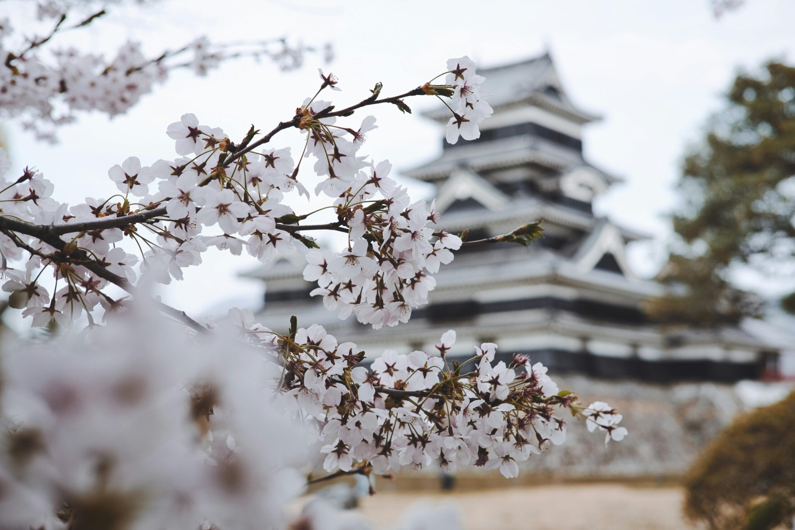 Japan visa